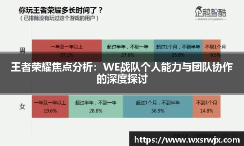 王者荣耀焦点分析：WE战队个人能力与团队协作的深度探讨